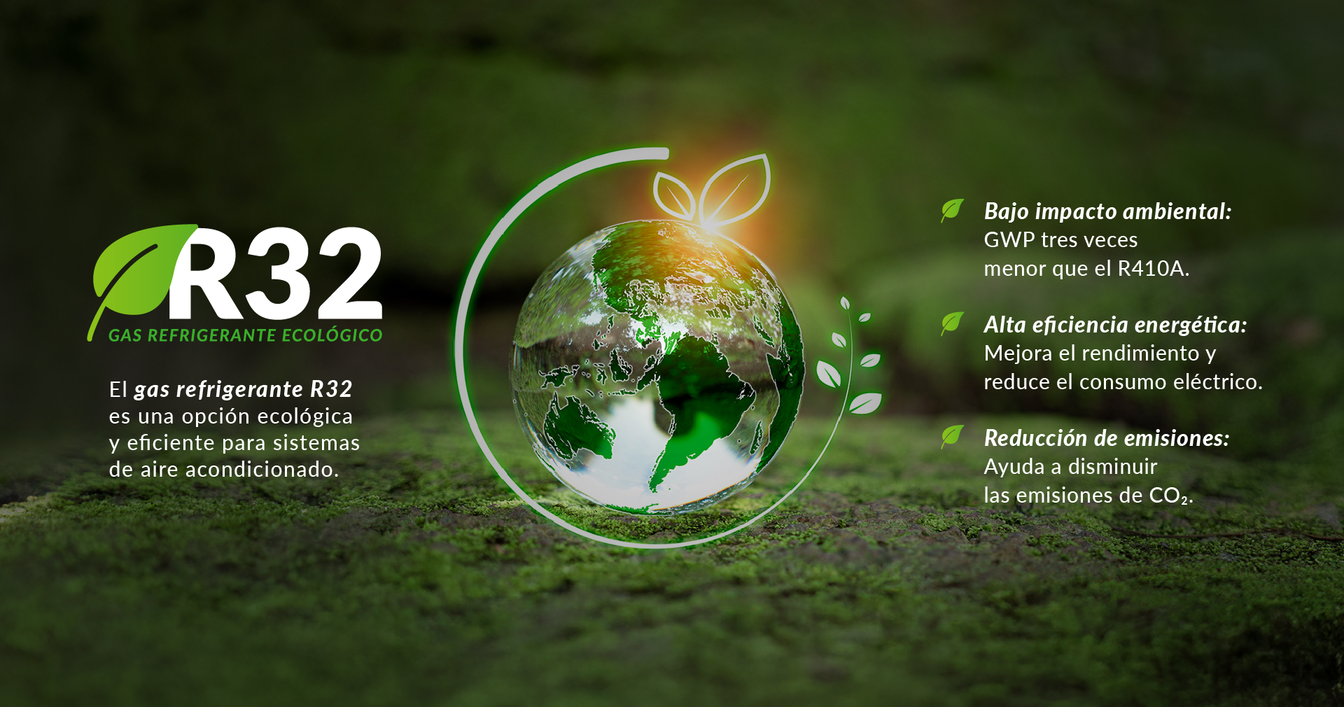 Web Banners Features-R32